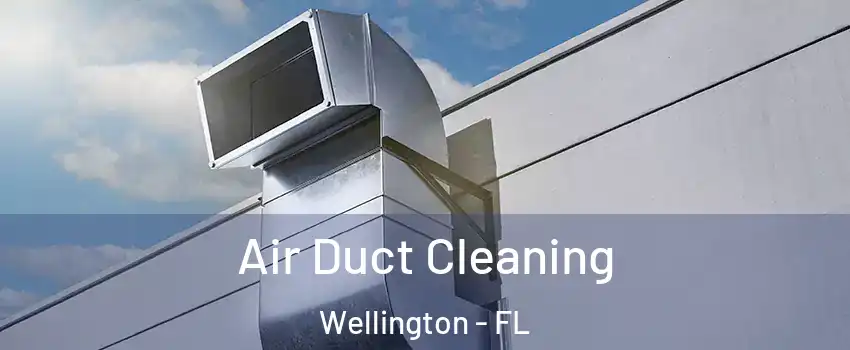  Air Duct Cleaning Wellington - FL