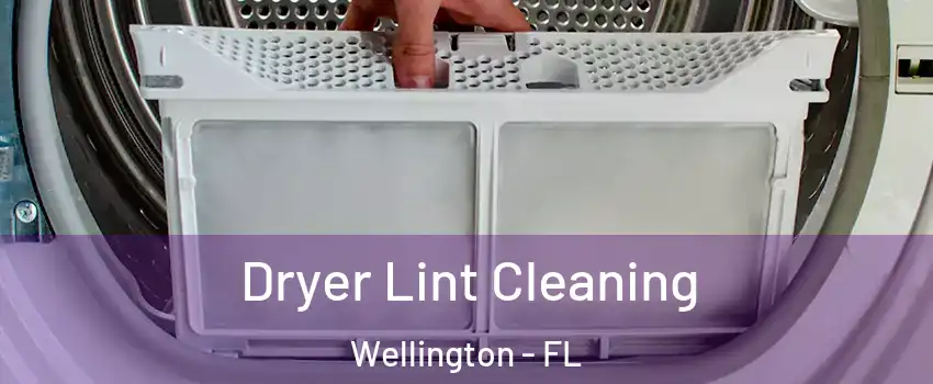  Dryer Lint Cleaning Wellington - FL