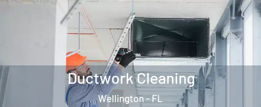  Ductwork Cleaning Wellington - FL