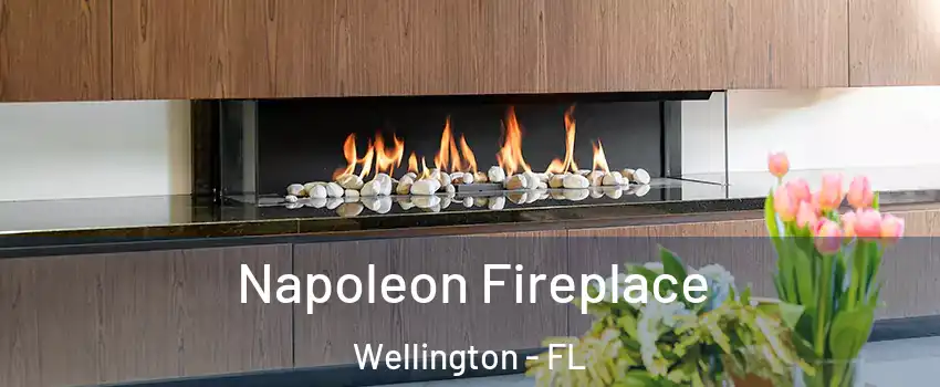  Napoleon Fireplace Wellington - FL